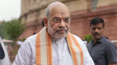 शाह: नई सुरक्षा चुनौतियों को आमंत्रित करने के लिए भारत का बढ़ता कद | भारत समाचार