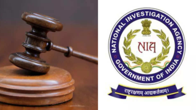 पाहलगम अटैक: एनआईए कोर्ट ने 45 दिनों तक हिरासत का विस्तार किया; अभियुक्त की फोरेंसिक, डीएनए और मोबाइल डेटा रिपोर्ट का इंतजार | भारत समाचार