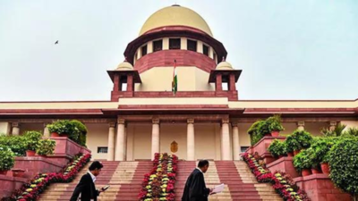 इसके विपरीत, सहमति की कम उम्र के लिए कोई डेटा नहीं, एमिकस कहते हैं | भारत समाचार