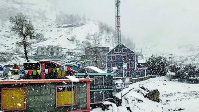 हिमाचल कांप उठा: ताजा बर्फबारी, बारिश के बाद पारा गिरा; 0° से नीचे टैबो | भारत समाचार