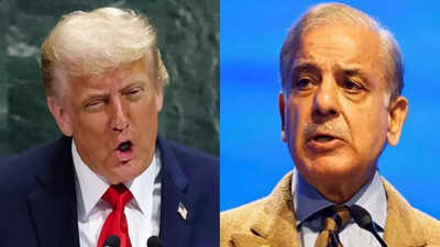 ला अयस्क: पाकिस्तान ने हमें दुर्लभ पृथ्वी तत्वों का निर्यात करने का दावा किया है